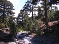 rrente Quarantore-20110911 054